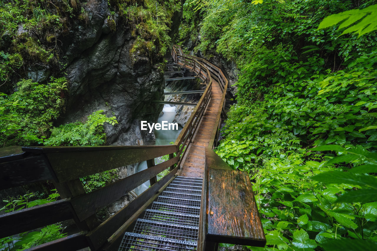 FOOTBRIDGE OVER STREAM AMIDST TREES