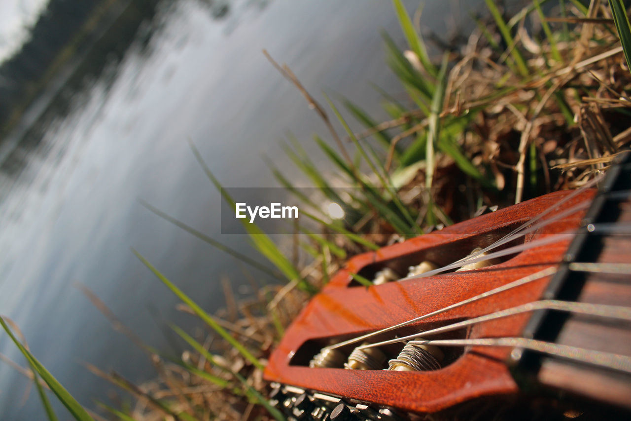 HIGH ANGLE VIEW OF GRASS IN WATER