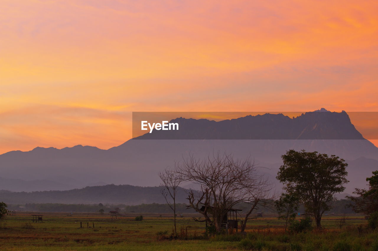 SCENIC VIEW OF LANDSCAPE AND MOUNTAINS AGAINST ORANGE SKY