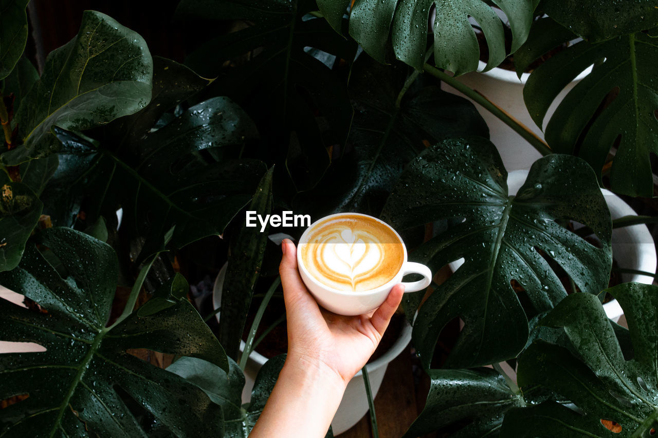 Cropped image of hand holding coffee cup