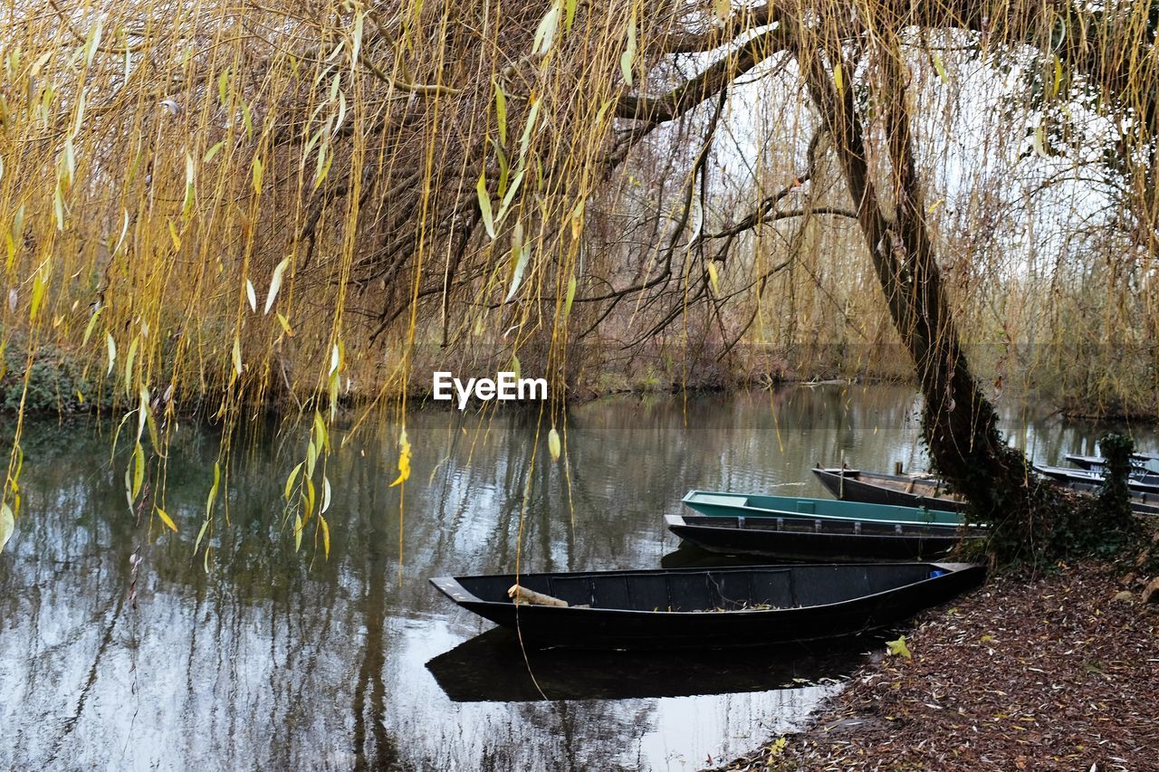 Close-up of lake against trees