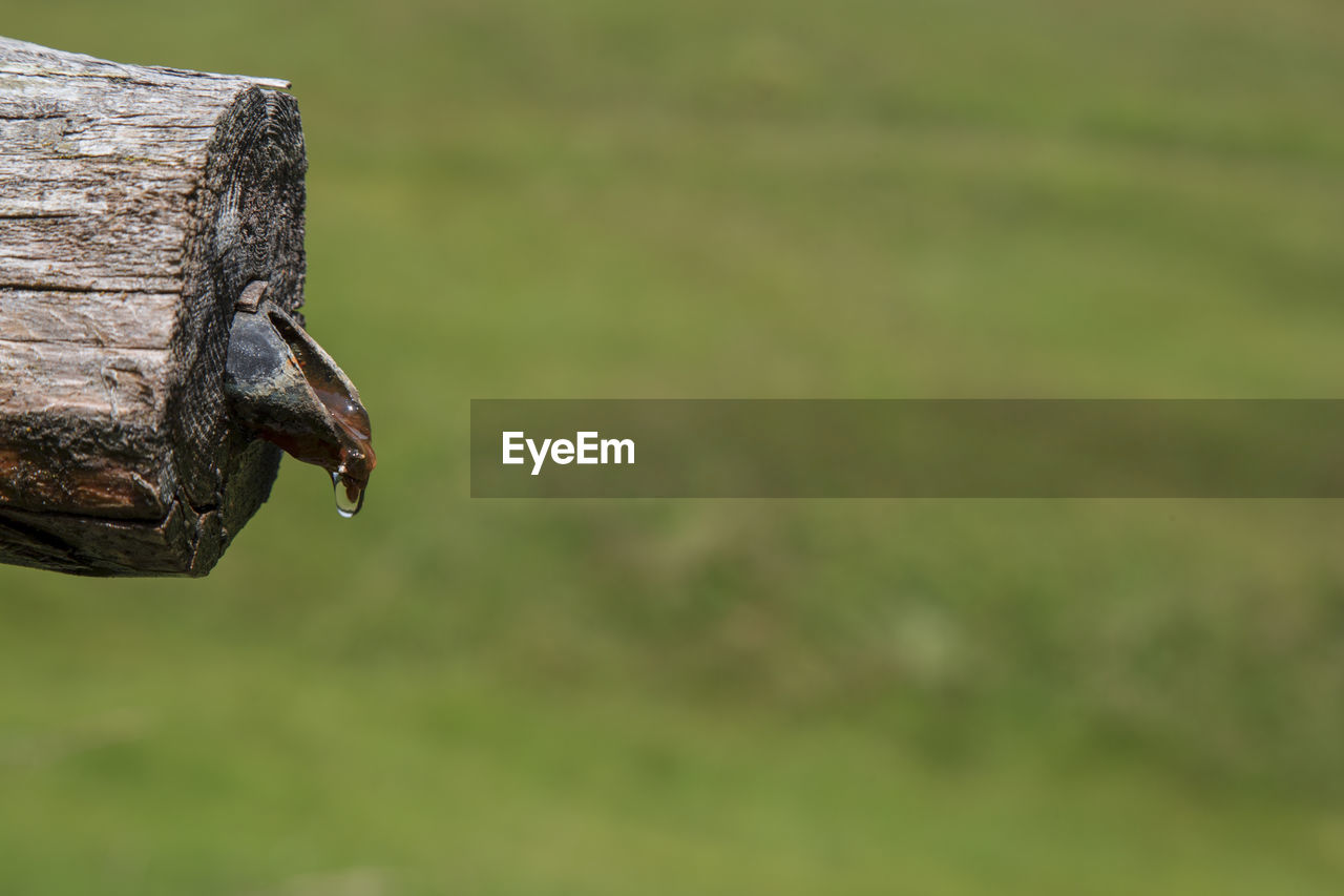 Water drop falling from pipe over grassy field