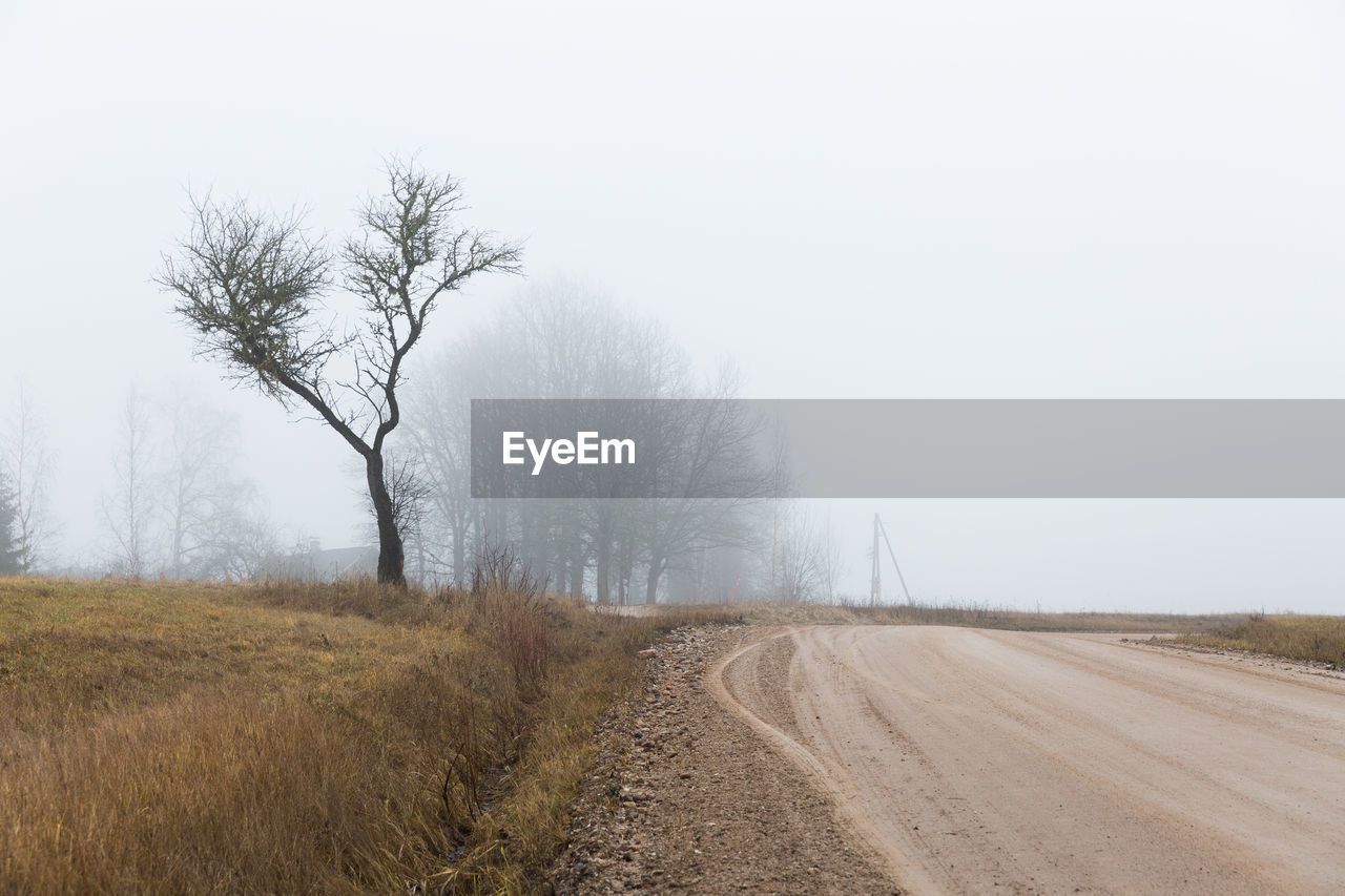 VIEW OF DIRT ROAD IN FIELD