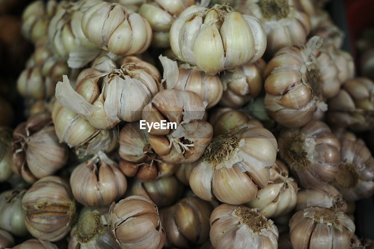 Detail shot of garlic bulbs