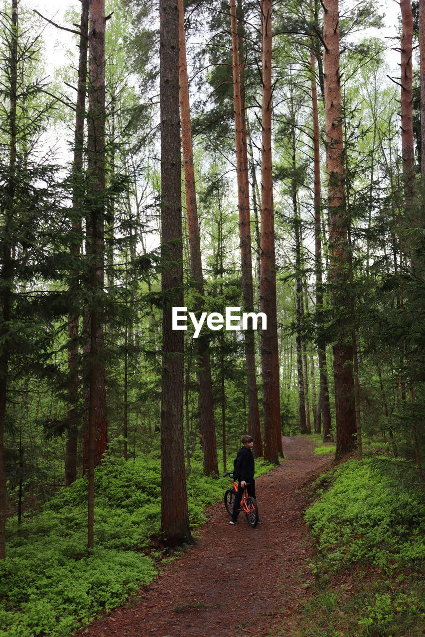 Man riding motorcycle on road amidst trees in forest