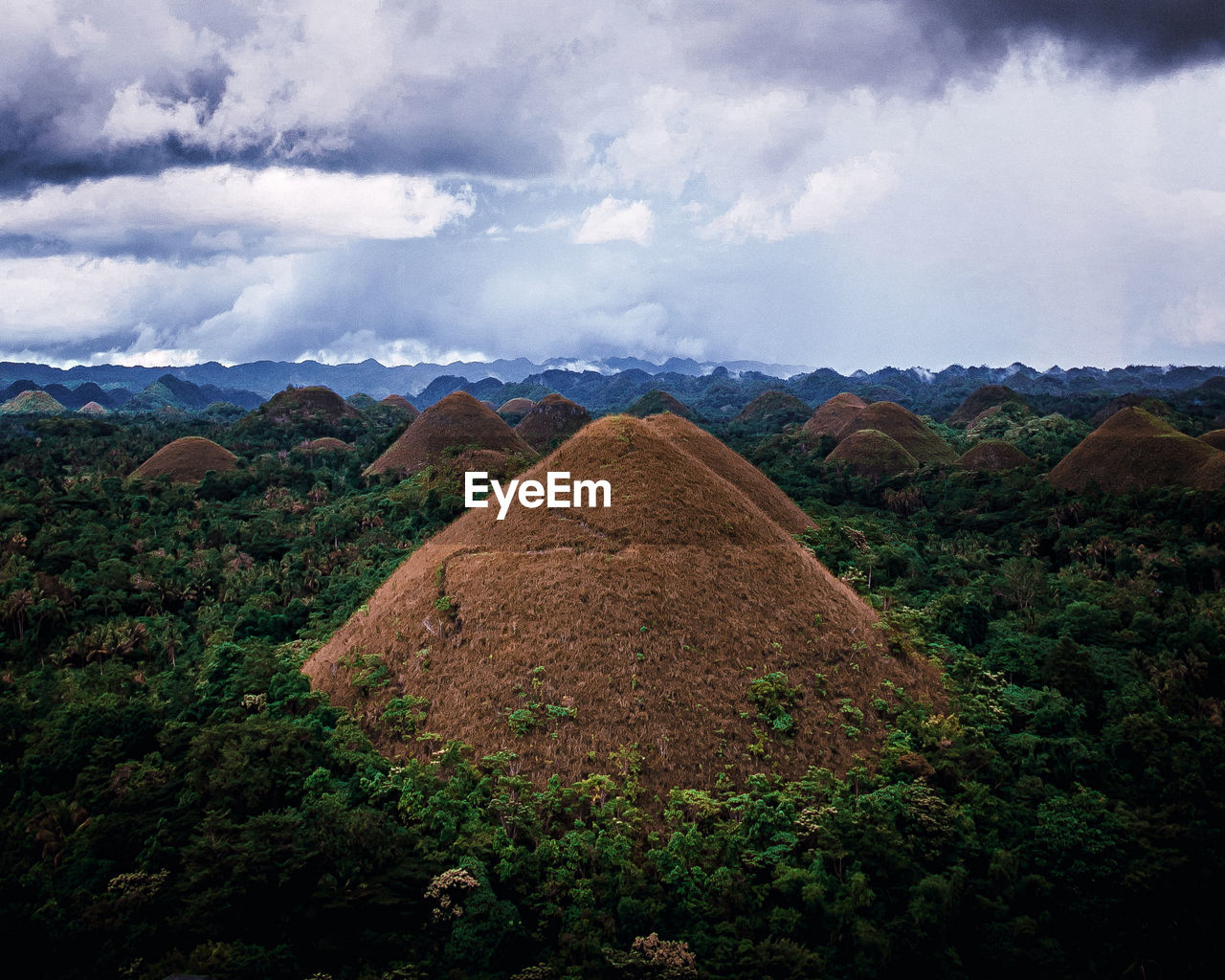 high angle view of trees on landscape against sky