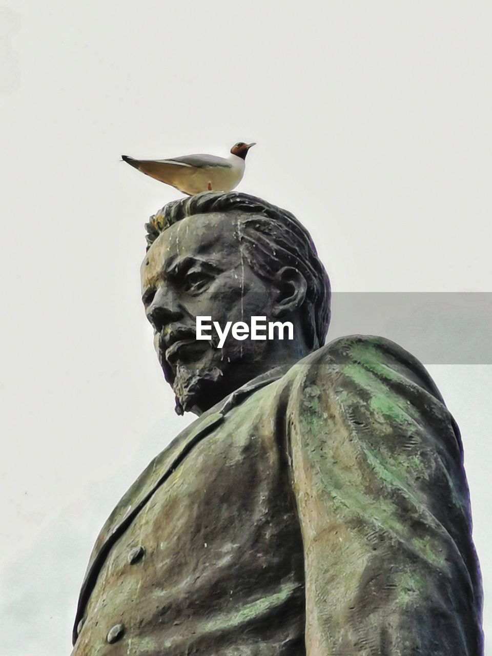 Low angle view of bird sitting on top of head of statue against sky