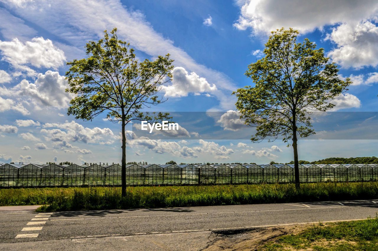 Greenhouses, trees, road and blue sky with clouds