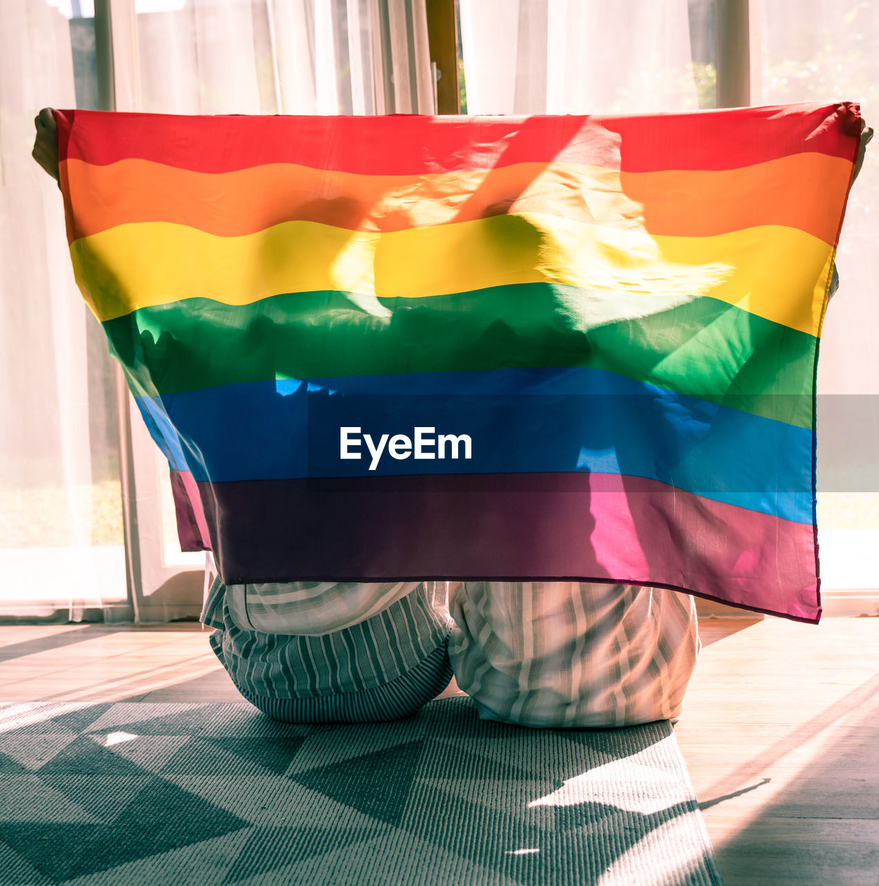 Rear view of gay couple holding rainbow flag while sitting against window at home