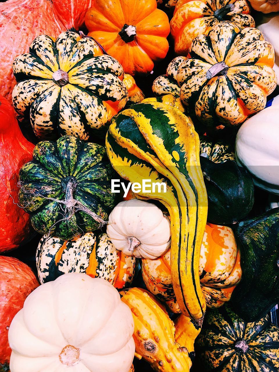 High angle view of pumpkins and squashes for sale at market