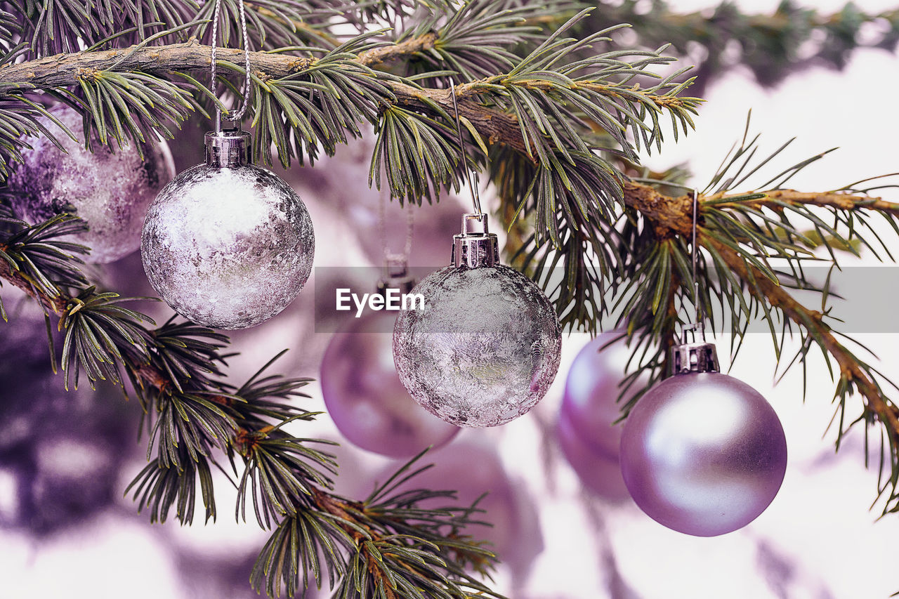 LOW ANGLE VIEW OF CHRISTMAS TREE HANGING ON BRANCH