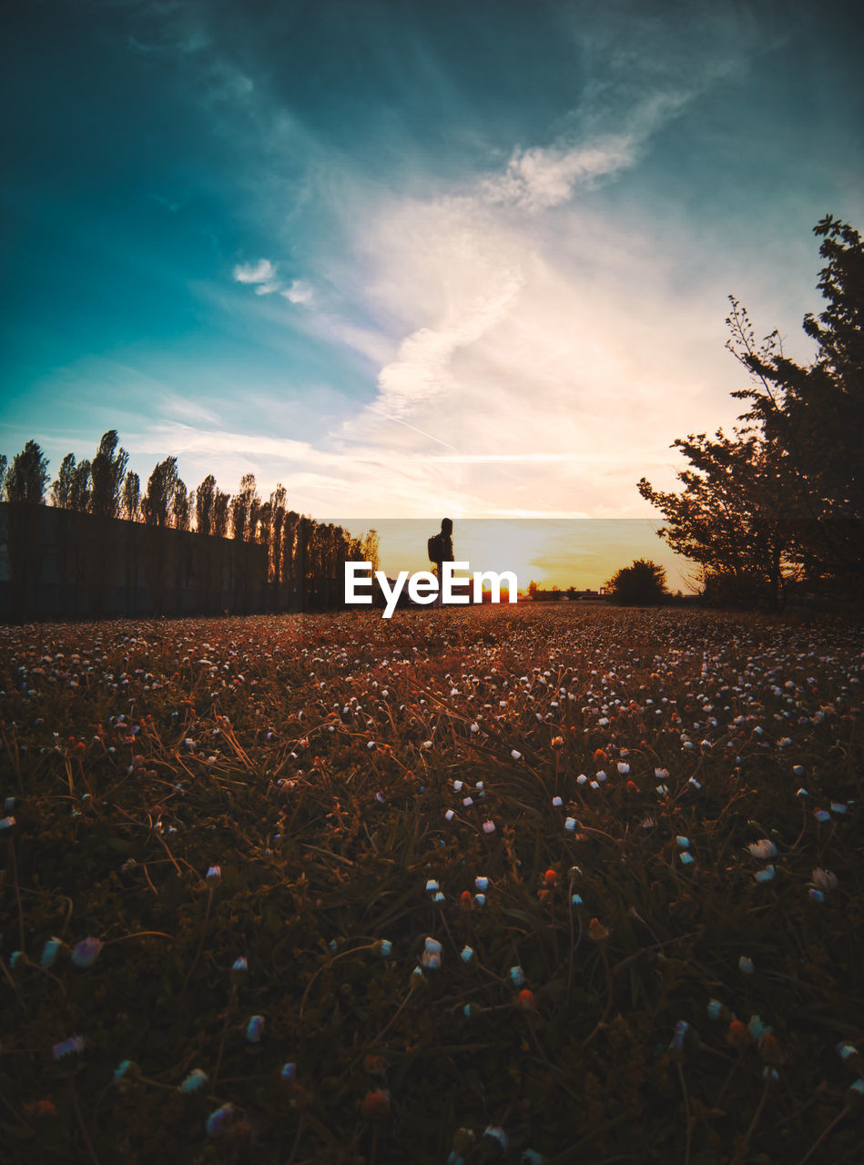 Scenic view of field against sky during sunset

teal and orange