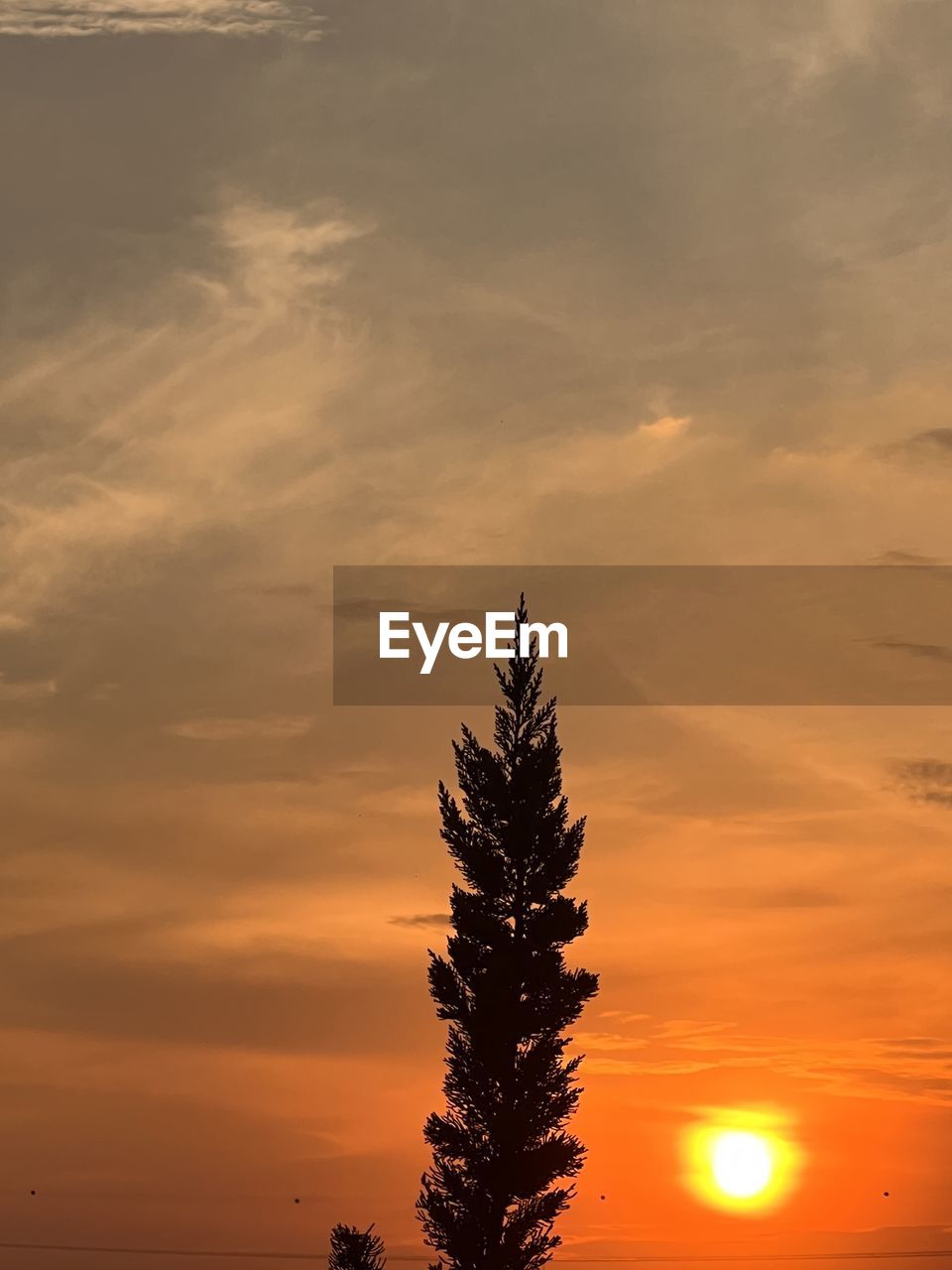 sky, cloud, sunset, nature, sunlight, beauty in nature, tree, sun, no people, plant, scenics - nature, tranquility, dramatic sky, environment, orange color, outdoors, silhouette, panoramic, reflection, tropical climate, evening, palm tree, tranquil scene, sunbeam, idyllic, landscape, dawn