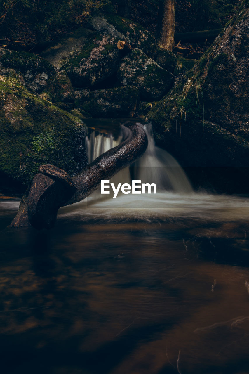 VIEW OF WATERFALL IN FOREST