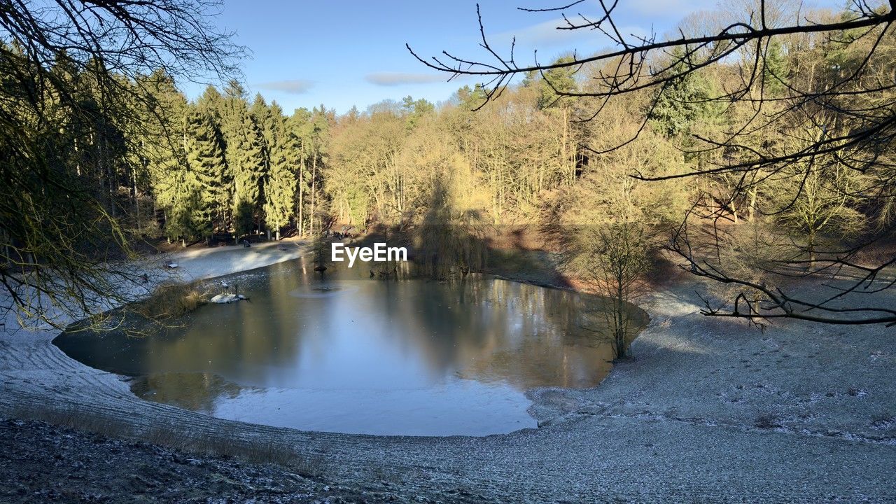 tree, nature, water, reflection, river, plant, wilderness, body of water, autumn, beauty in nature, scenics - nature, landscape, tranquility, sky, environment, no people, stream, land, forest, tranquil scene, winter, non-urban scene, pond, leaf, outdoors, day, travel destinations, morning, pinaceae, travel, woodland, idyllic, mountain, tourism, pine tree, coniferous tree