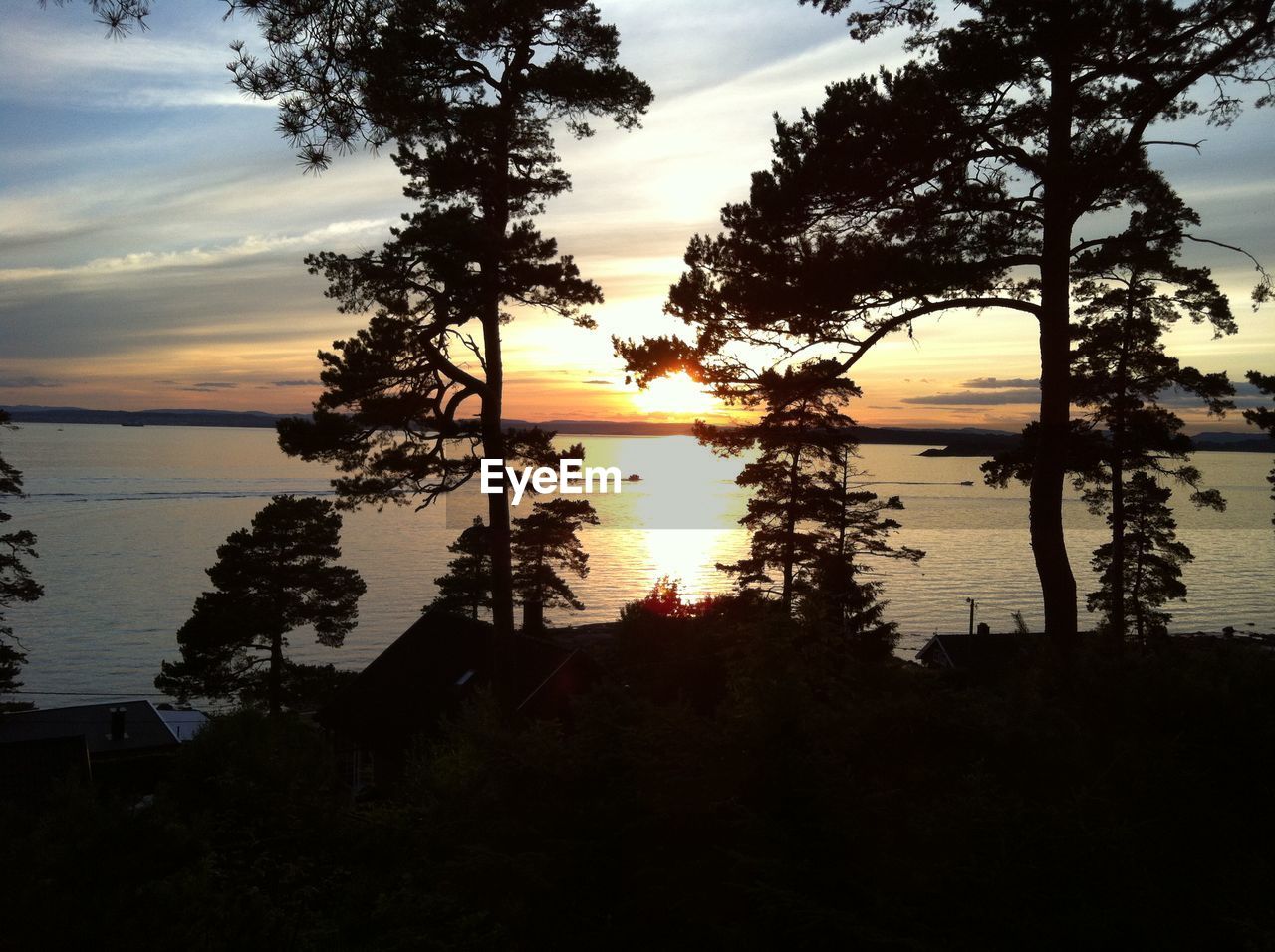 SILHOUETTE TREE BY LAKE AGAINST SKY DURING SUNSET