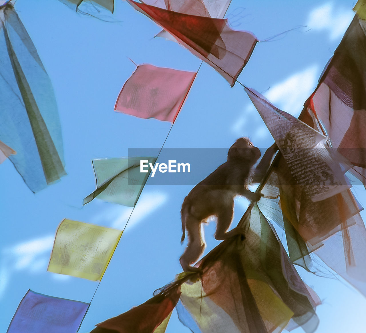 Low angle view of monkey climbing on prayer flags against sky