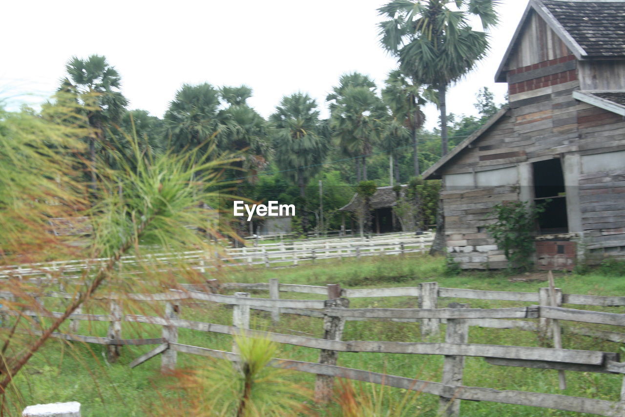 VIEW OF TREES AND PLANTS