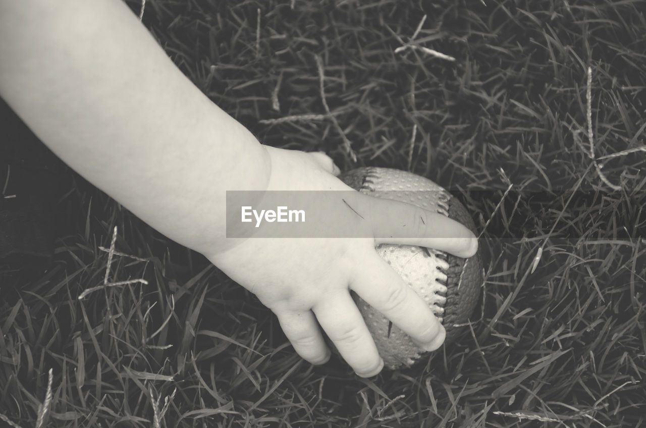 Cropped image of baby holding baseball