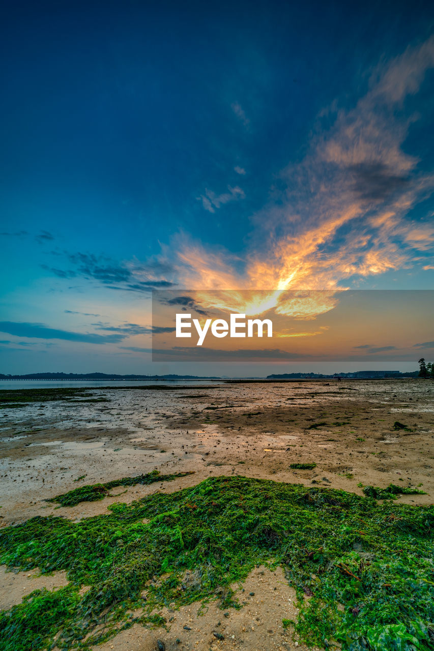 SCENIC VIEW OF BEACH DURING SUNSET