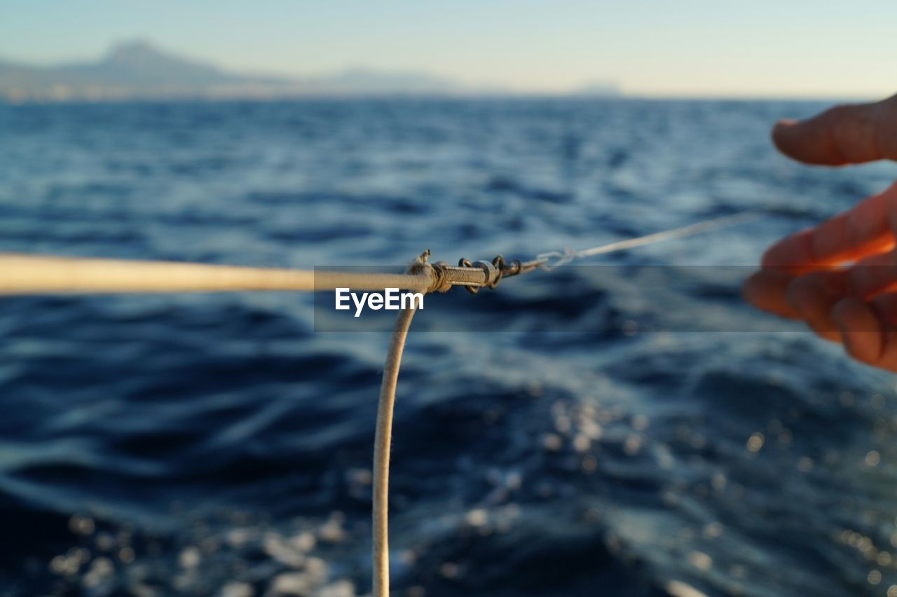 CLOSE-UP OF HAND HOLDING CRAB