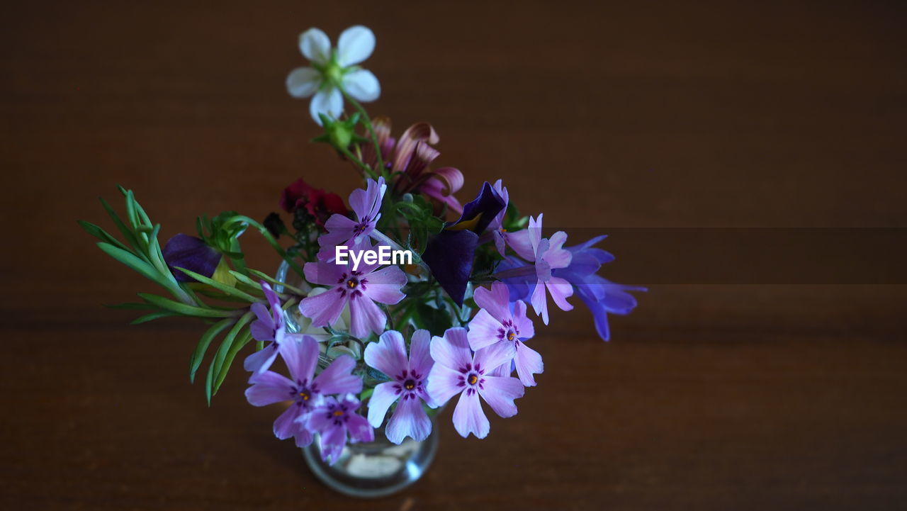 flower, flowering plant, plant, purple, beauty in nature, freshness, macro photography, nature, blue, fragility, close-up, blossom, flower head, no people, lilac, indoors, petal, inflorescence, growth, bouquet, studio shot, green, spring, bunch of flowers, floristry, leaf, flower arrangement