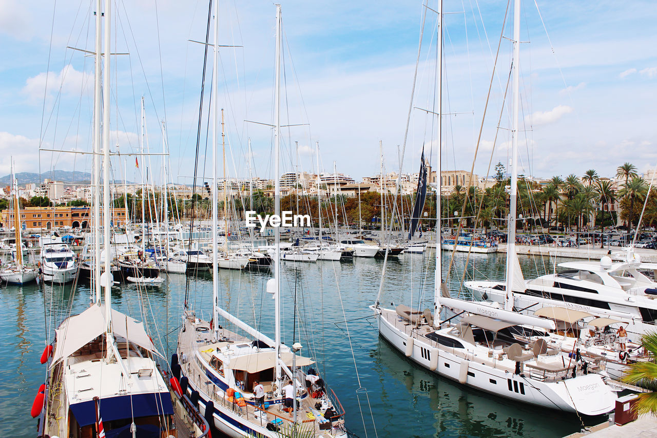 Sailboats moored in harbor