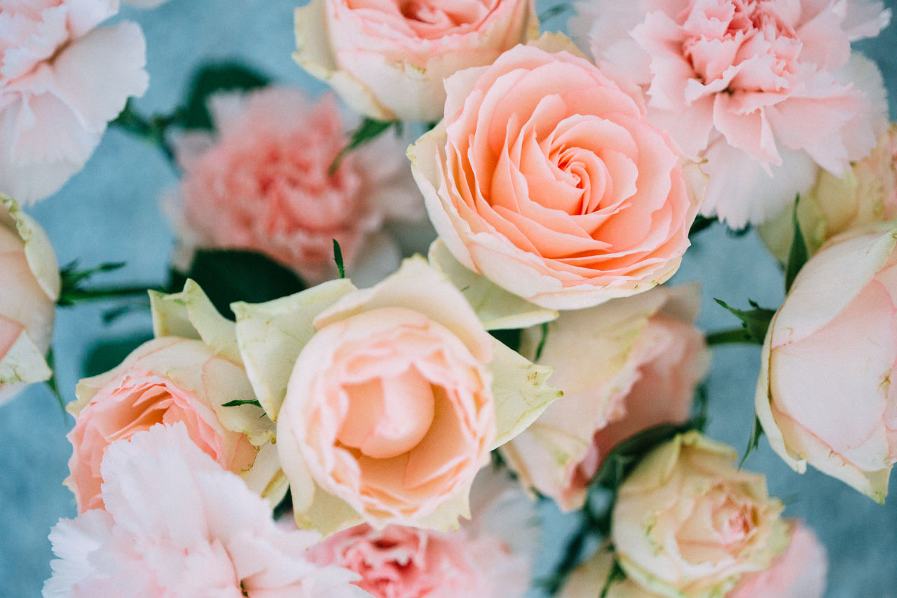 High angle view of roses and carnation flowers in vase