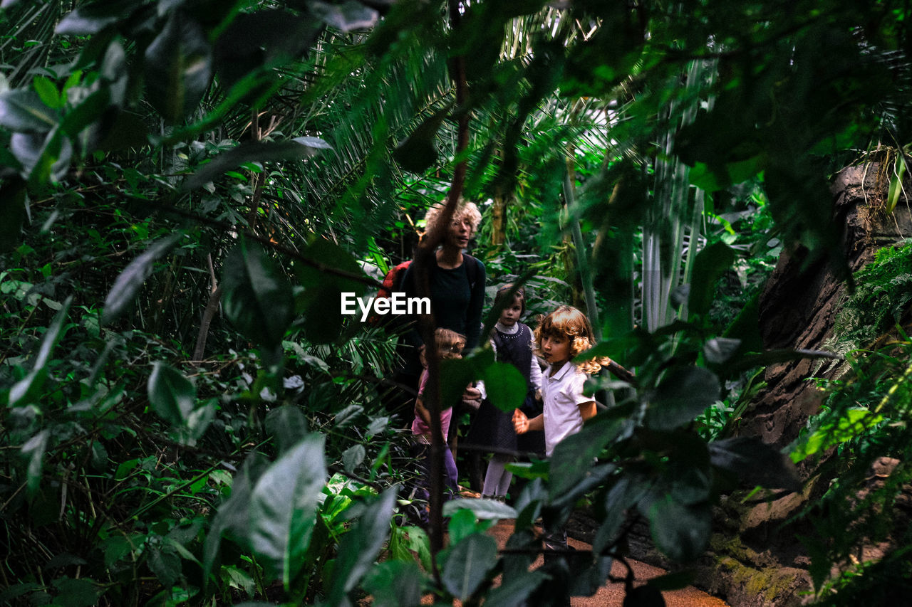 CHILDREN IN FOREST