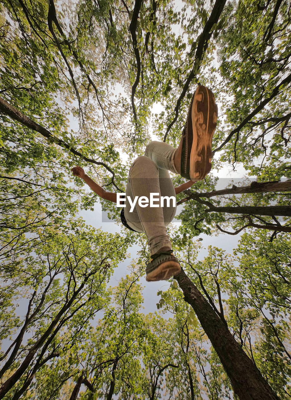 tree, plant, one person, low angle view, forest, sunlight, leisure activity, flower, full length, nature, day, casual clothing, branch, lifestyles, woodland, women, adult, spring, leaf, young adult, outdoors, land, clothing, autumn, carefree, person, growth, climbing, balance, happiness, green, hairstyle, looking, natural environment, emotion, beauty in nature