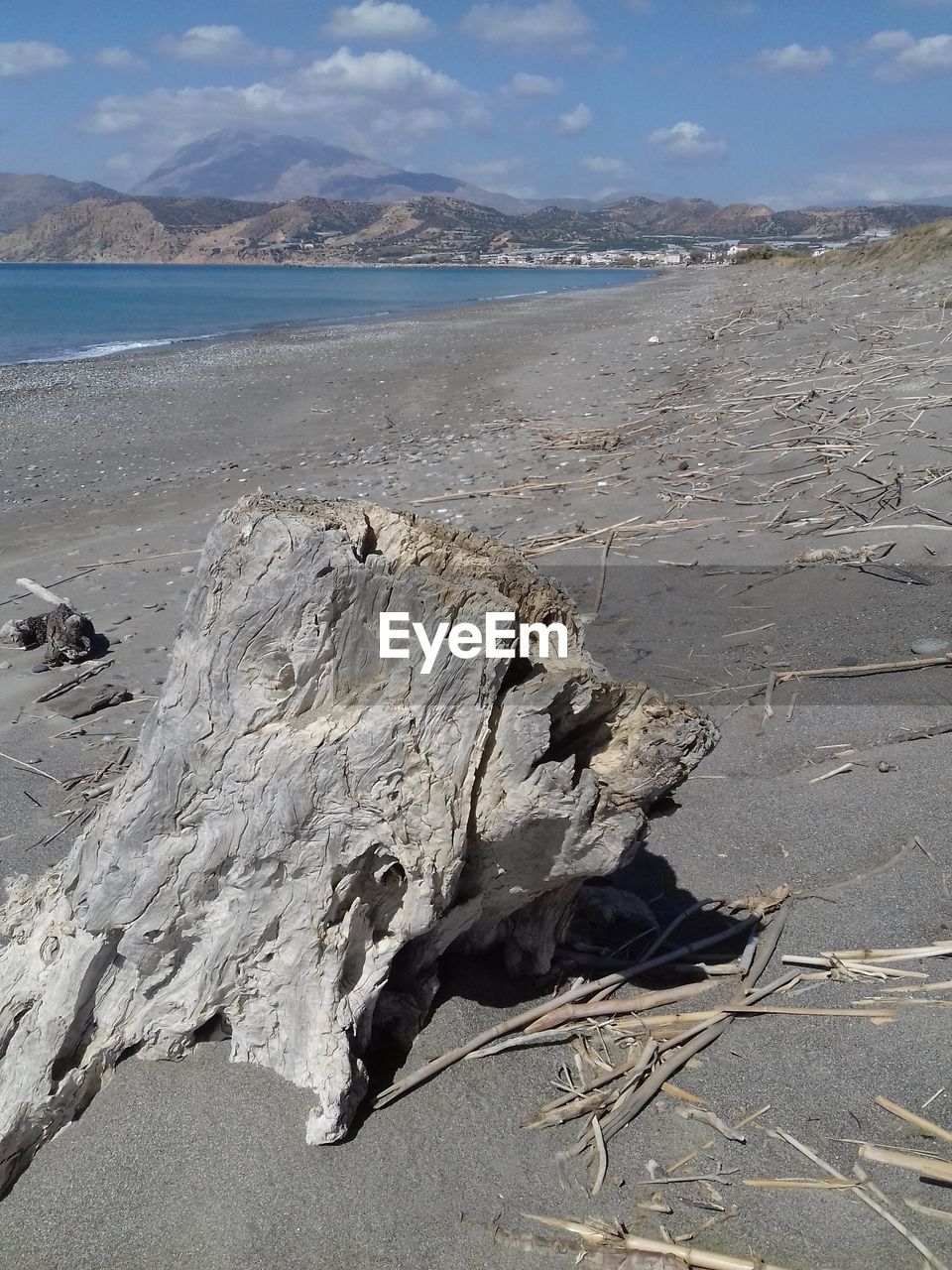 VIEW OF DRIFTWOOD ON BEACH