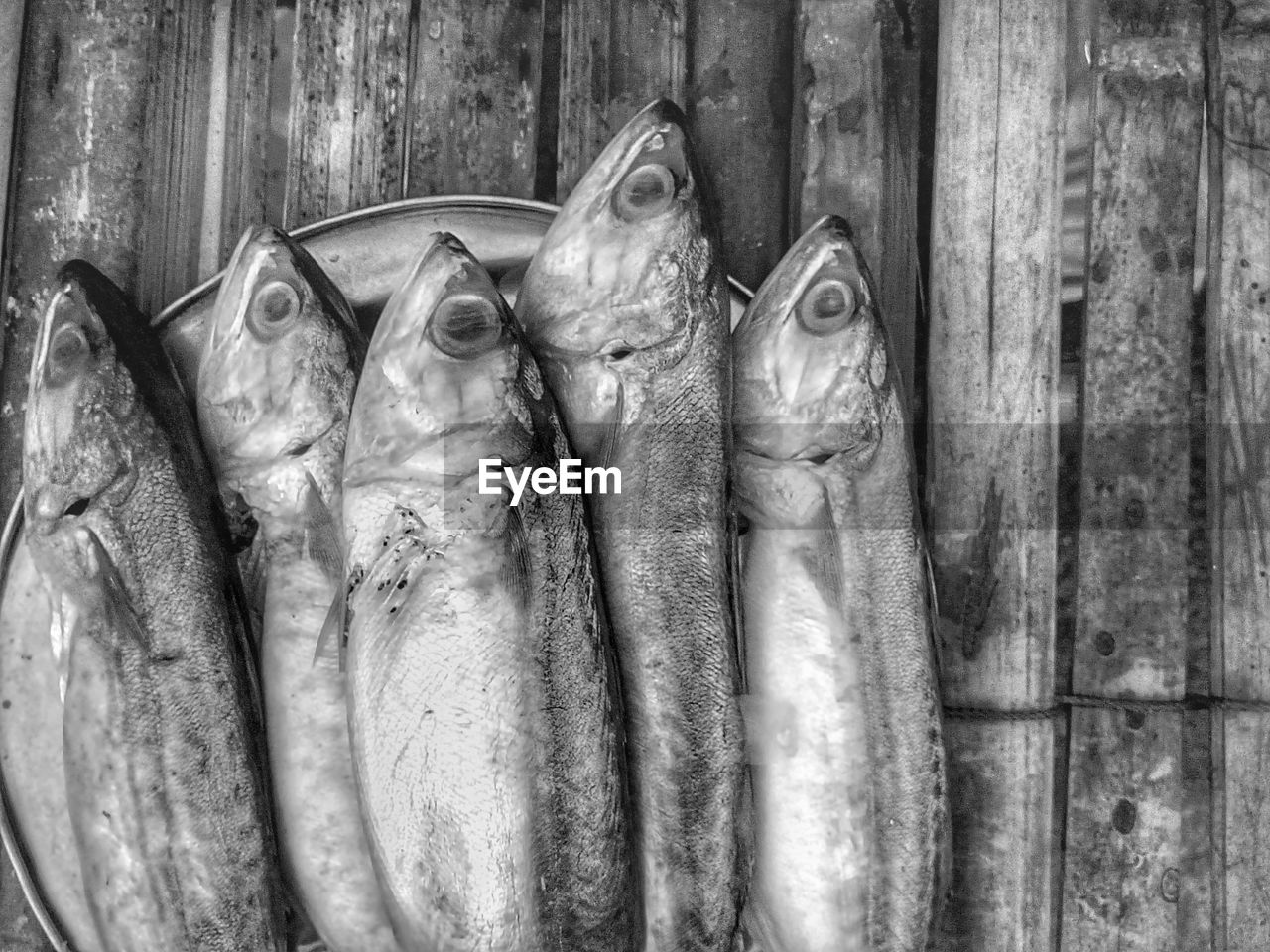 CLOSE-UP OF FISH FOR SALE