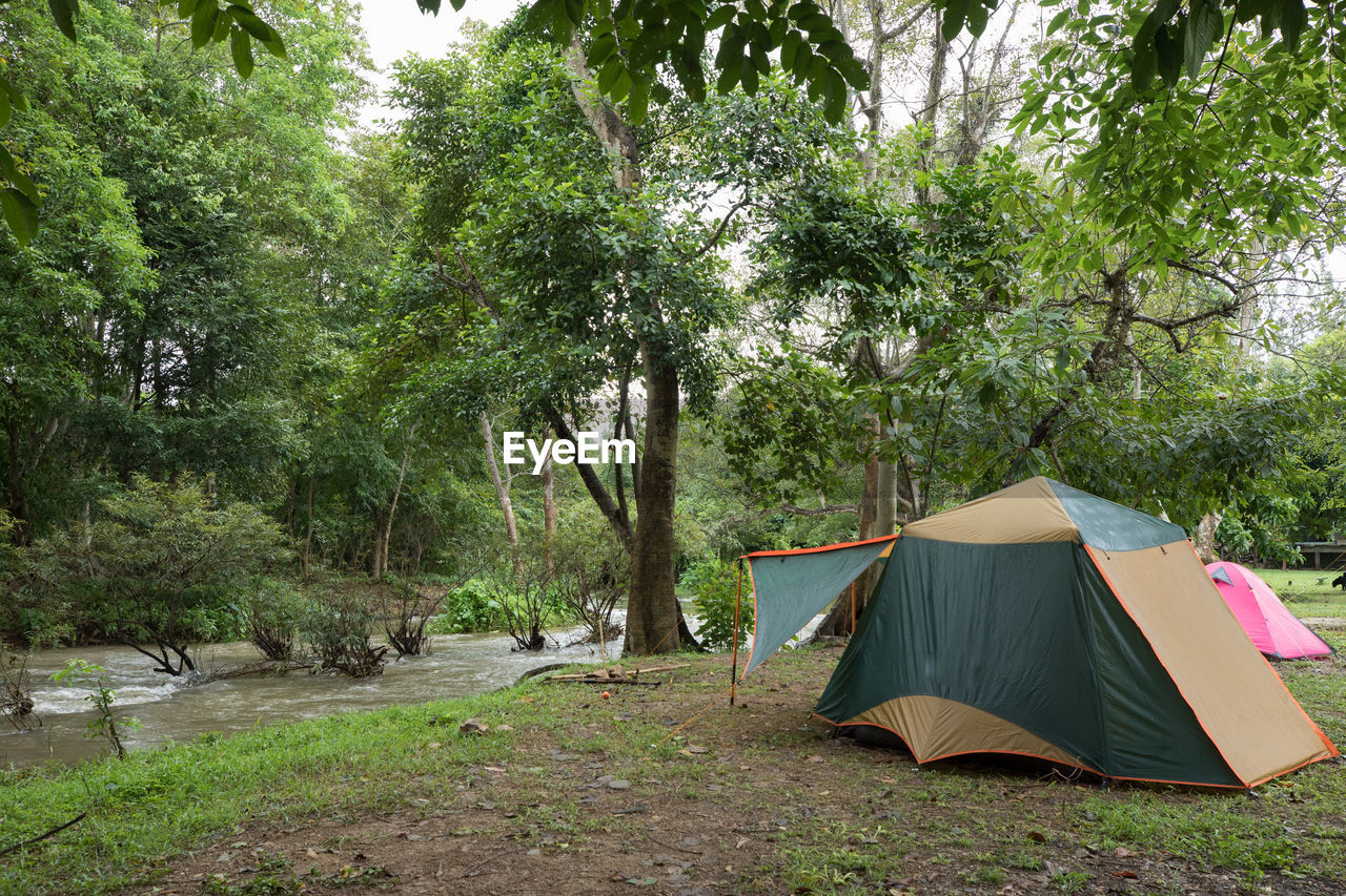 Tent on field against trees in forest