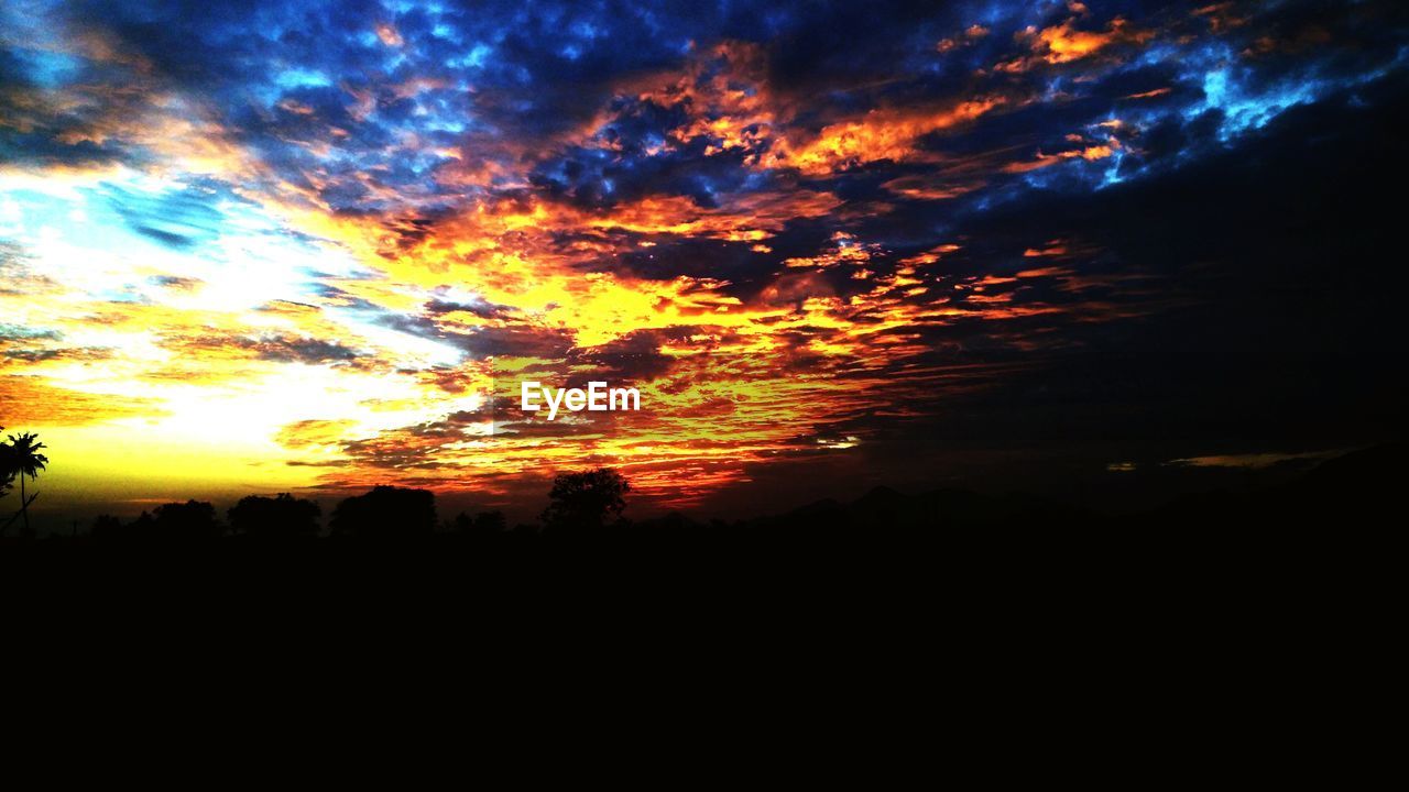 SCENIC VIEW OF ORANGE SKY AND TREES AGAINST SUNSET