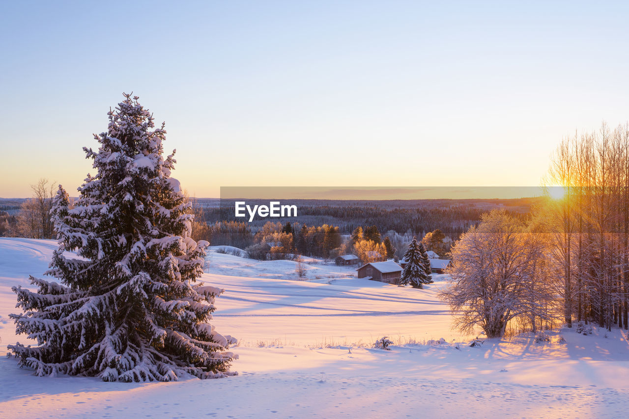 A sunset winter dream