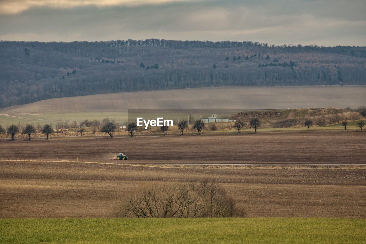 SCENIC VIEW OF FIELD