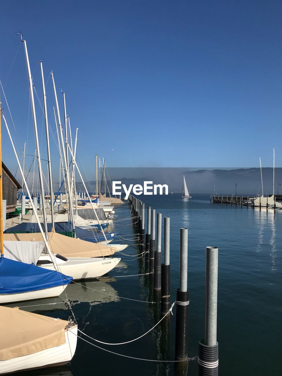 Sailboats moored in sea against clear blue sky