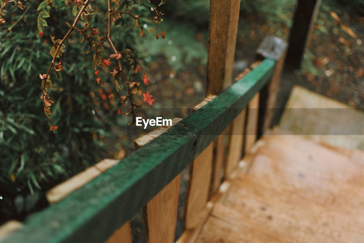 CLOSE-UP OF RAILING BY TREE