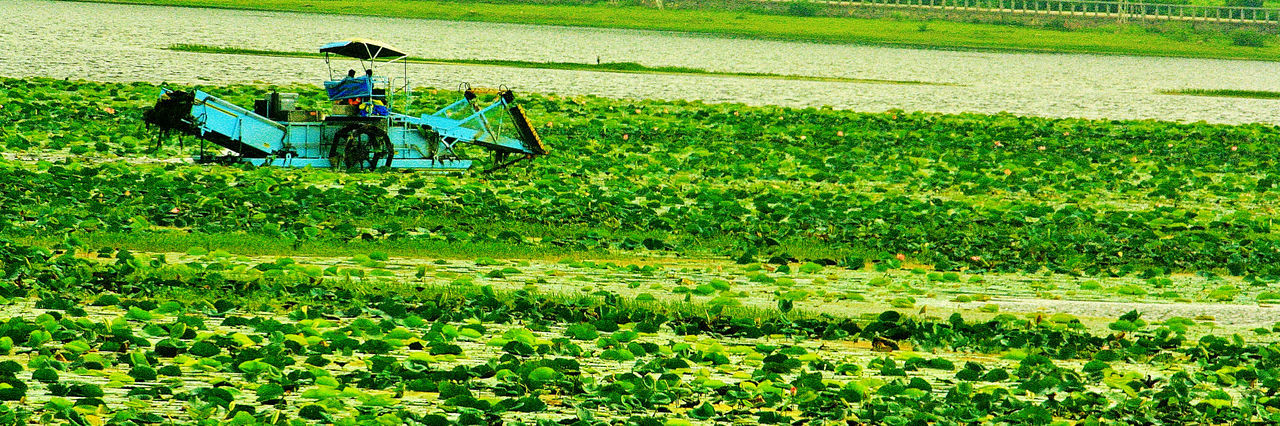 Vehicle on field by river