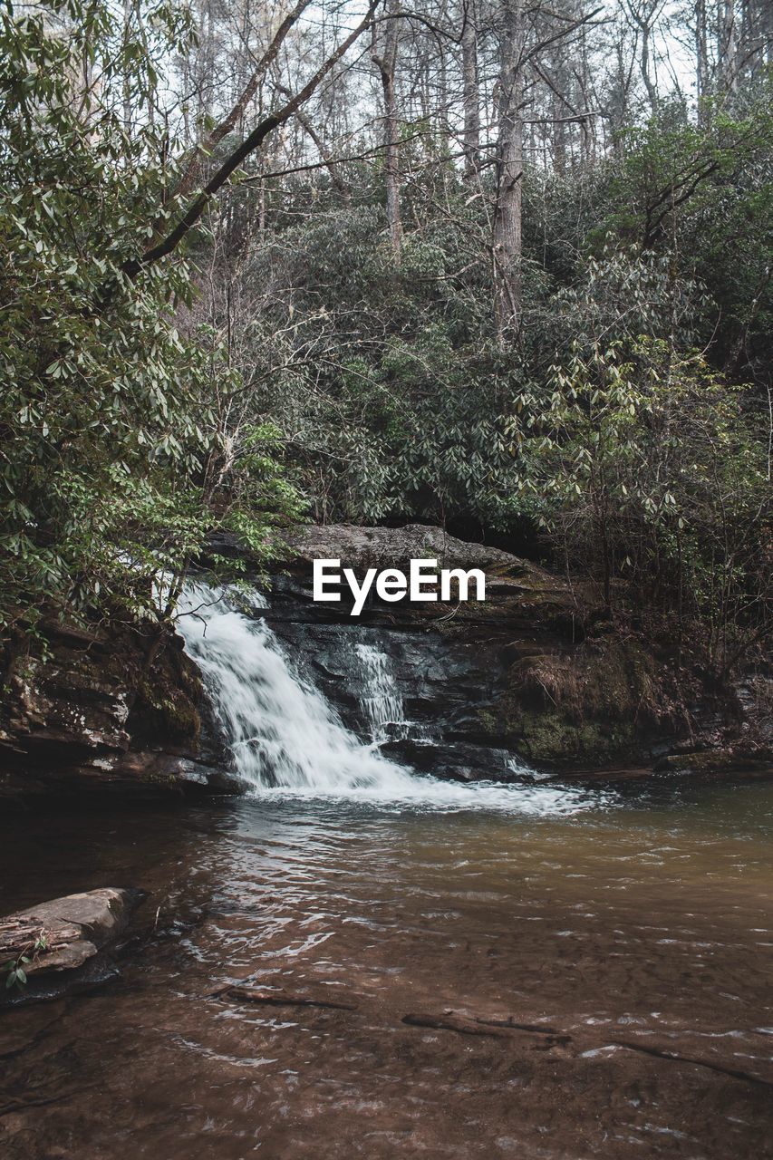 VIEW OF STREAM FLOWING THROUGH FOREST