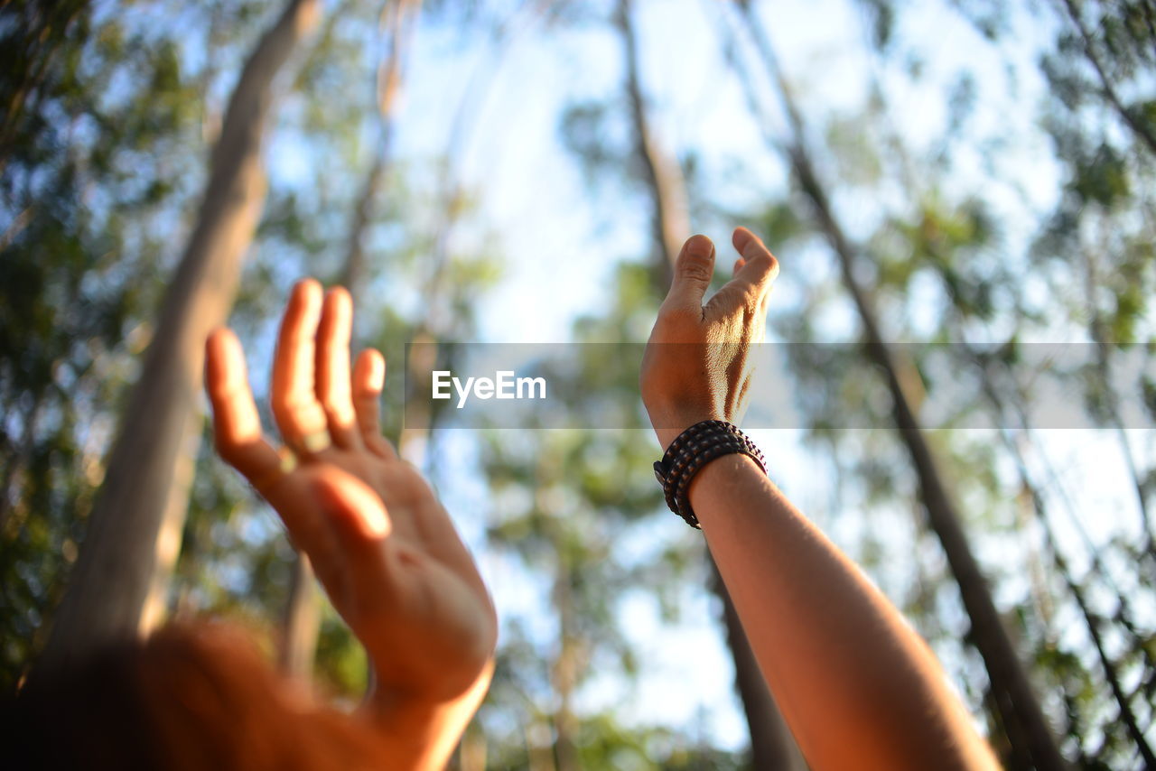 Low angle view of woman with arms raised against trees in forest