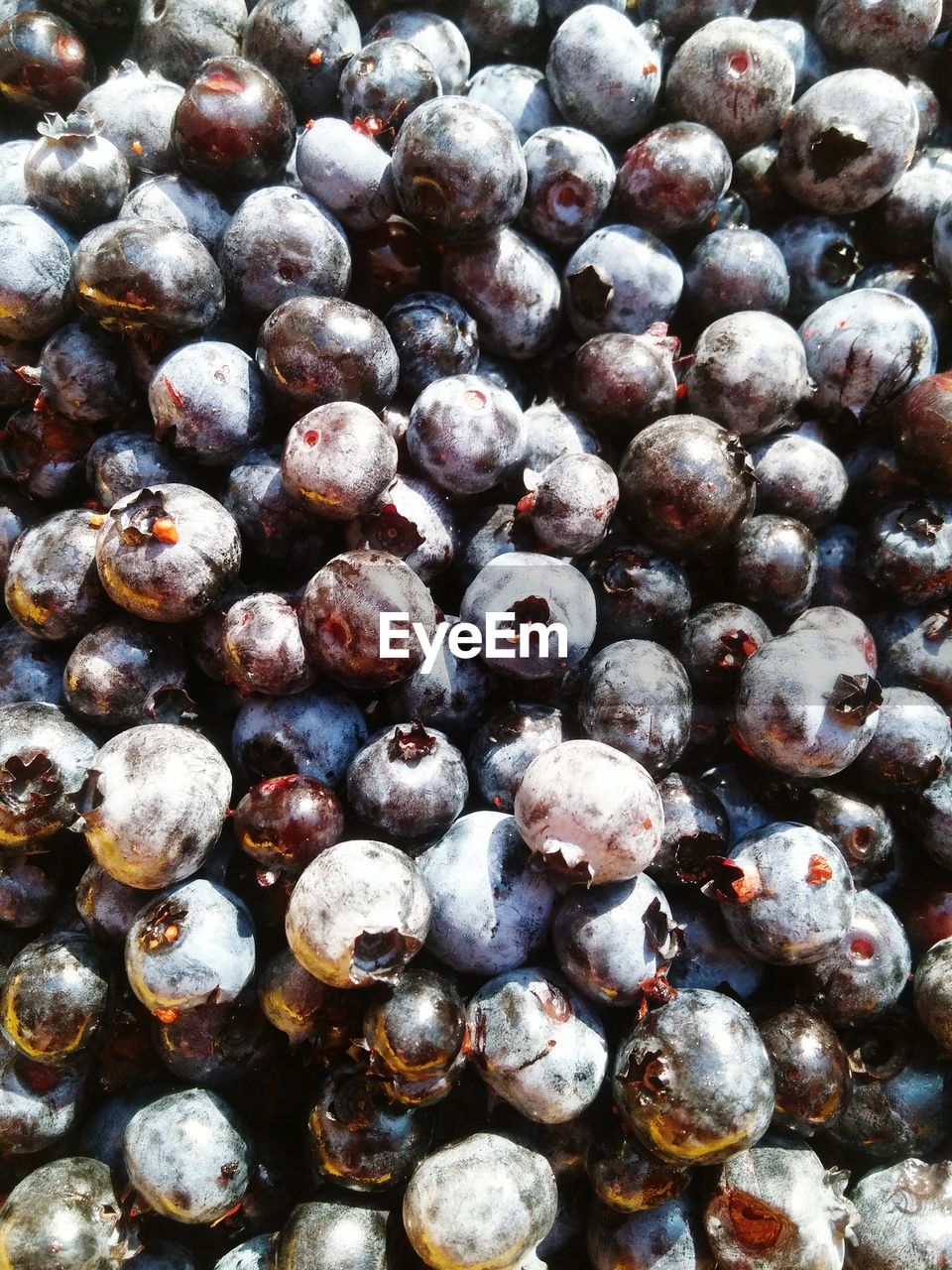 Full frame shot of blueberries for sale at market