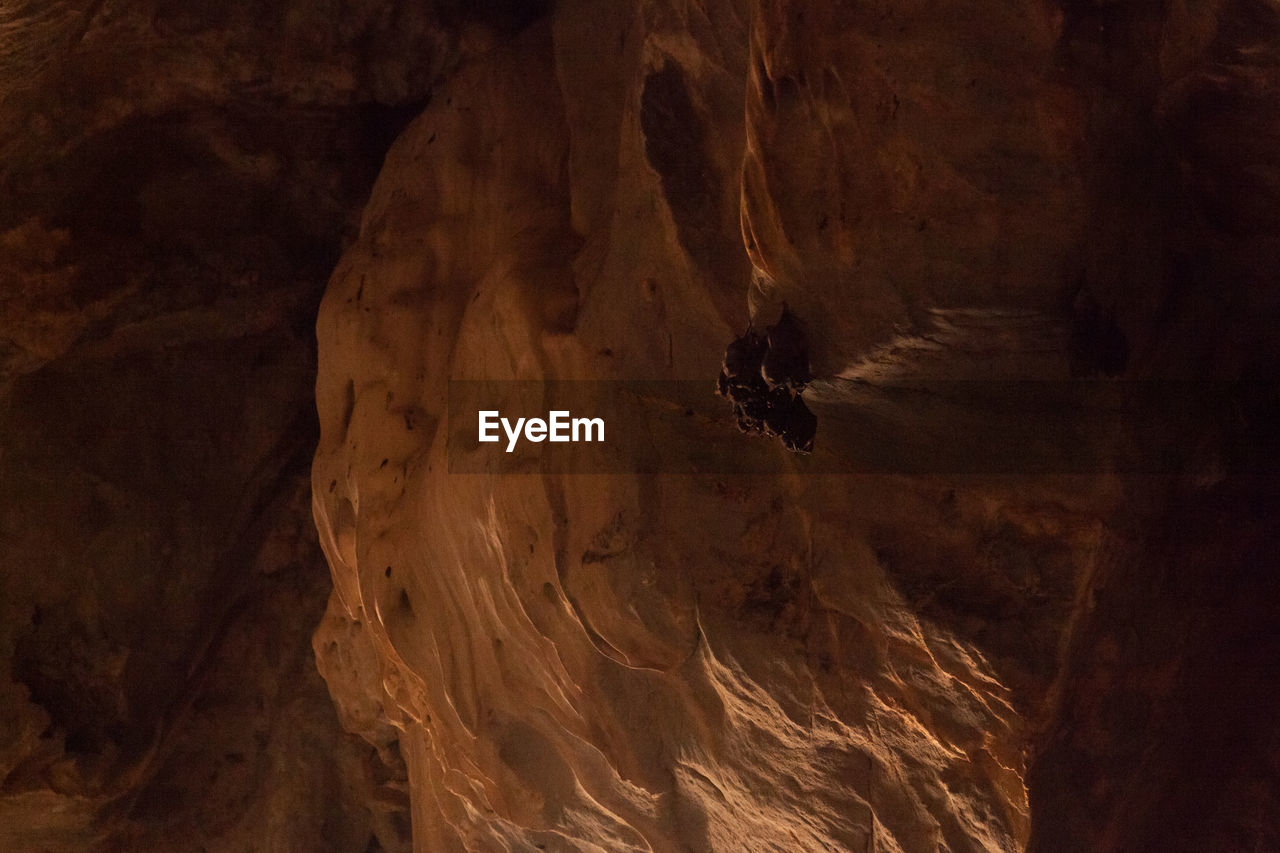 CLOSE-UP OF EXTREME CLOSE UP OF HUMAN EYE