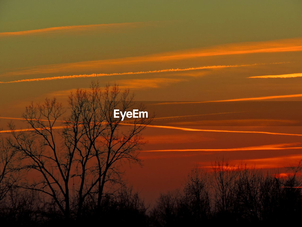 Scenic view of silhouette trees against sky during sunset