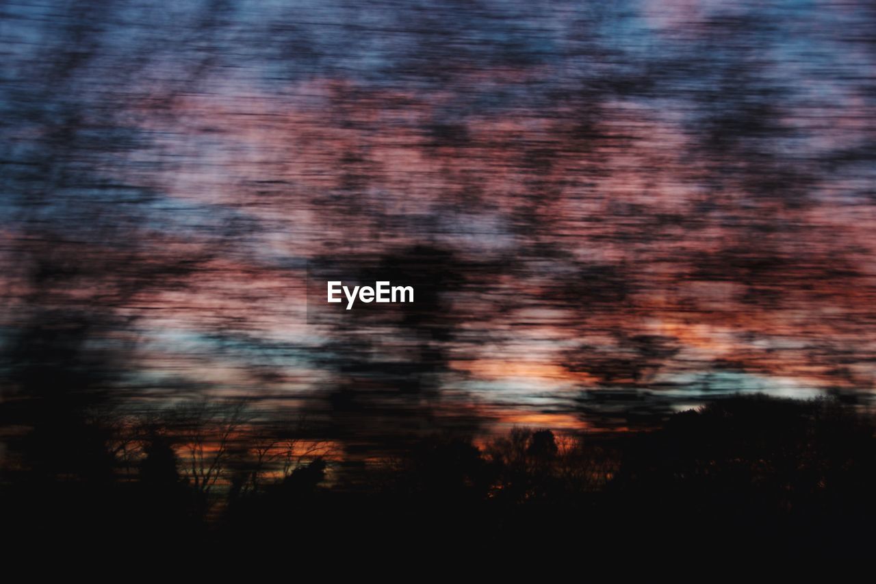 FULL FRAME SHOT OF TREES AGAINST SKY