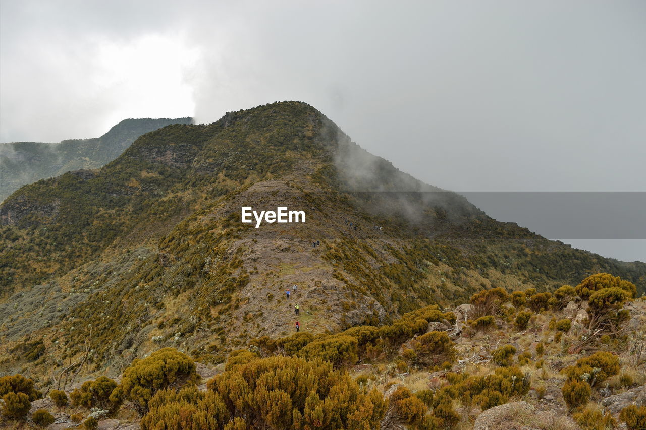 Scenic mountain landscapes against a foggy background, elephant hill in the aberdare ranges, kenya