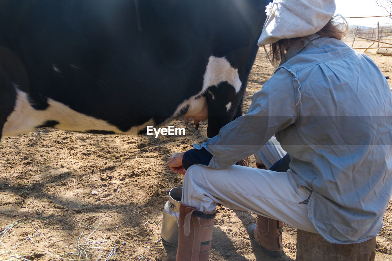 Rear view of farmer milking cow at farm