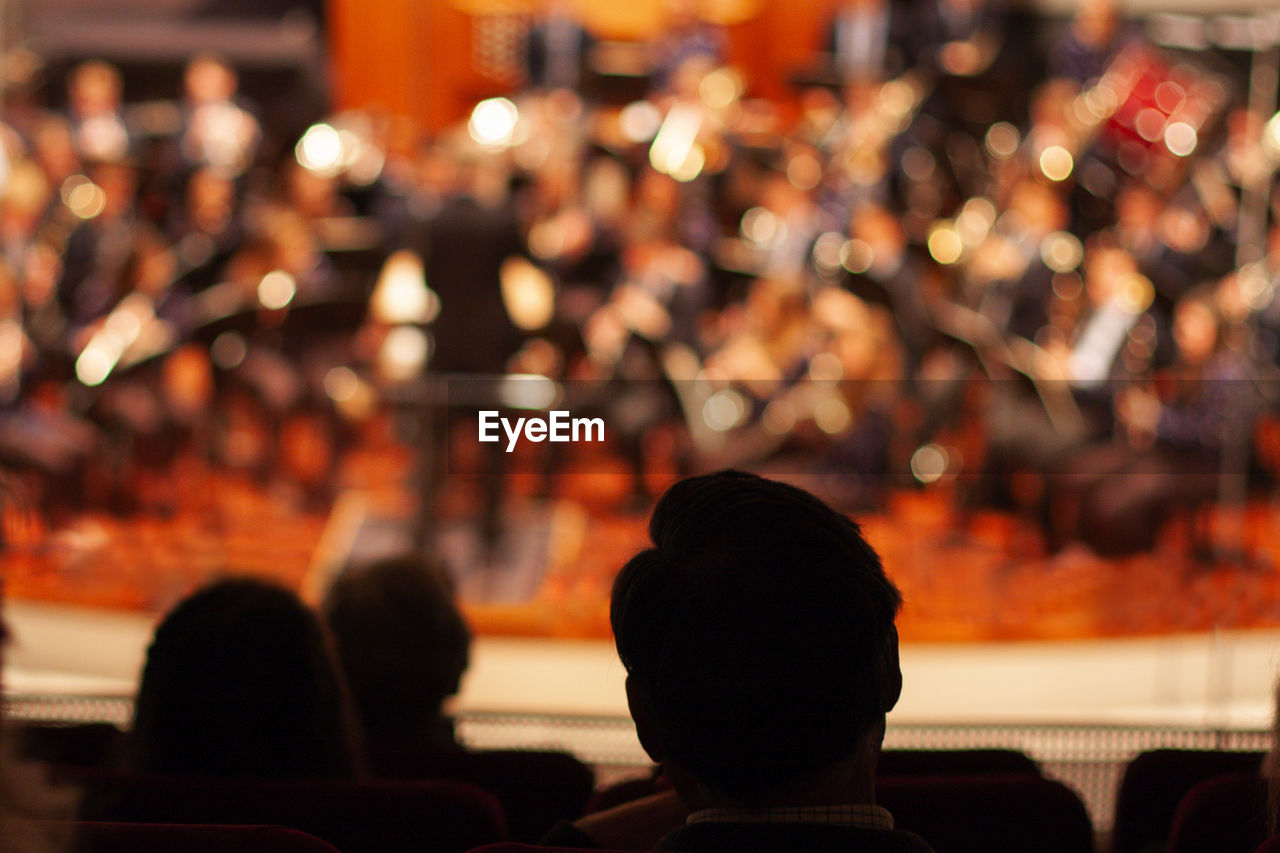 Rear view of people sitting at music concert