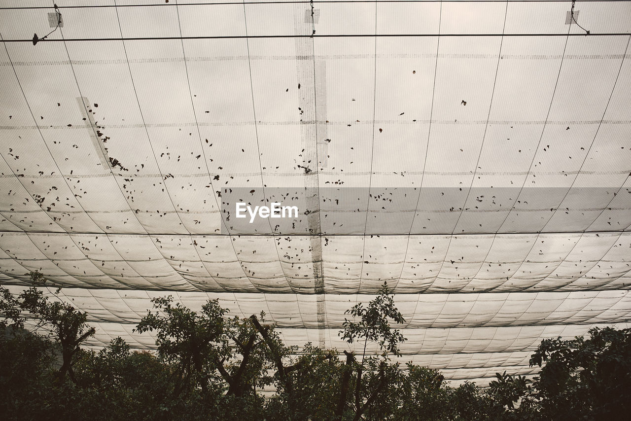 Low angle view of net against sky at bird park