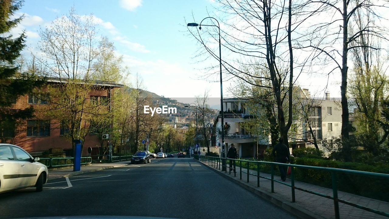 VIEW OF ROAD ALONG TREES